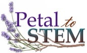 Petal to STEM Foundation