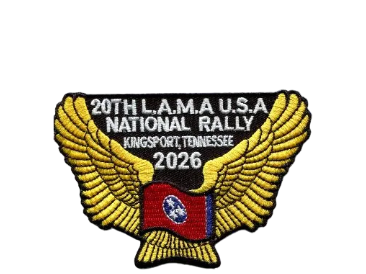 20th USA RALLY PATCH