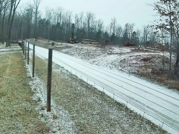 Clearing the site - Jan 2025
