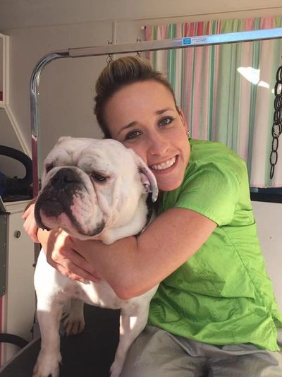 Our groomer, Jenny, is finishing grooming a bulldog.