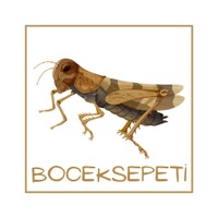 boceksepeti