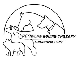 Reynolds Equine Therapy
Showstock pemf