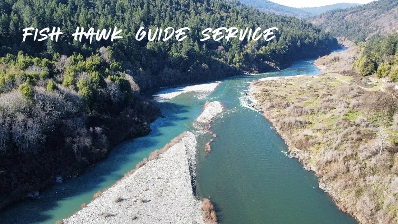 Gallery Fish Hawk Guide Service