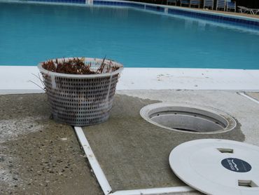 Cleaning the bins of a pool