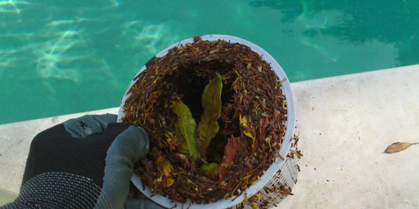 swimming pools fort worth, skimmer baskets, pool tools, maintenance