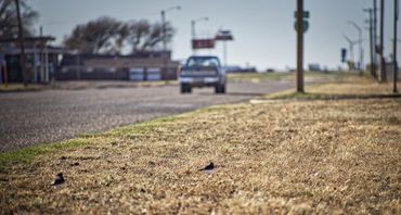 Rt 66, rt 66 texas, get your kicks on rt. 66