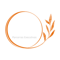 ANALU Parcerias Executivas