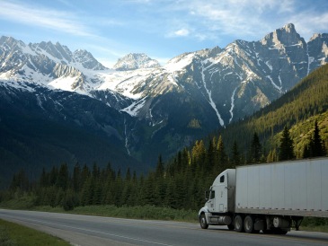 Pallet Delivery And Road Logistics