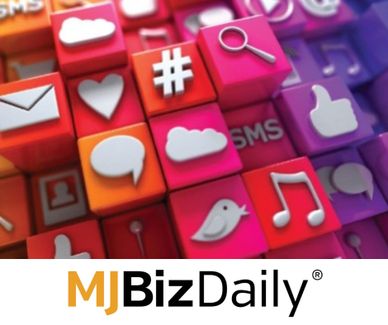 MJBizDaily - cannabis marketing restrictions in search engines and social media