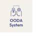 OODA Systems