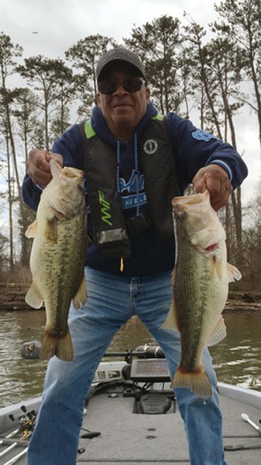 Man holding two large bass fish on a boat in a lake.