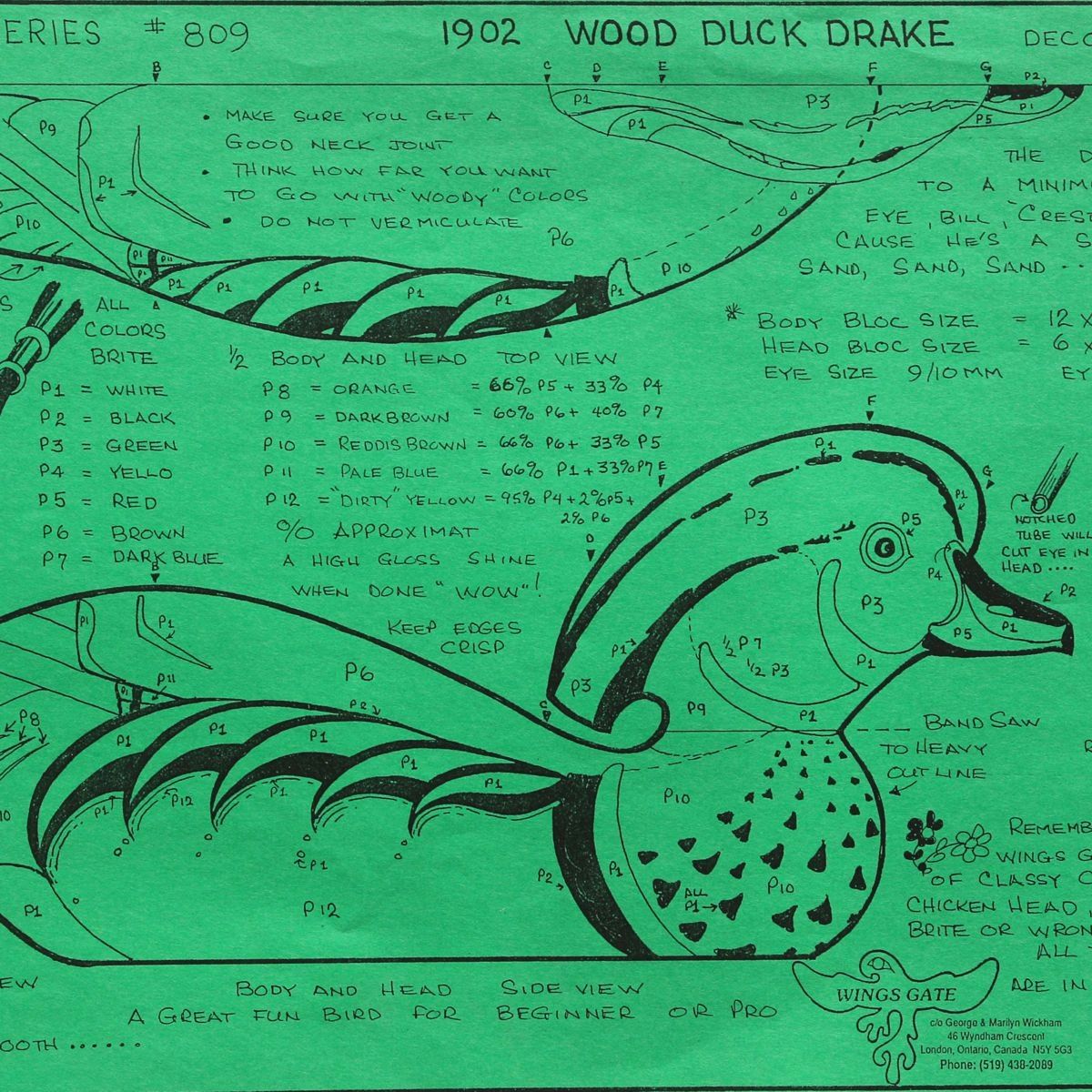 Wood Duck Drake Decoy Life Size