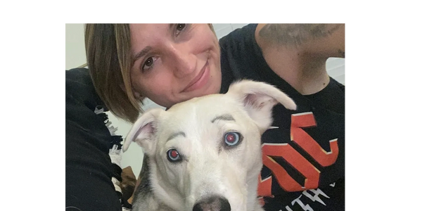 Pet sitting in home is fun time for me.