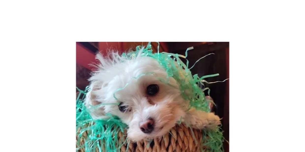 Lucy uses her cuteness to get what she wants... and that's more love.