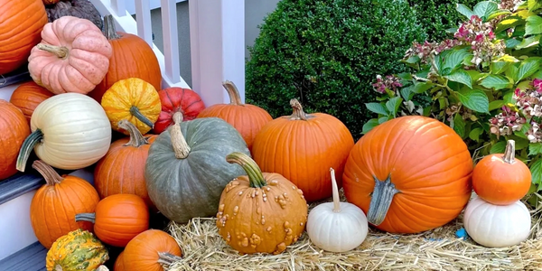 pumpkin piles pumpkins pile autumn decor hay stack design designer fall decorating ideas