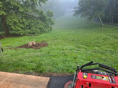 Foggy morning with a misty green lawn and a red lawnmower in the foreground.