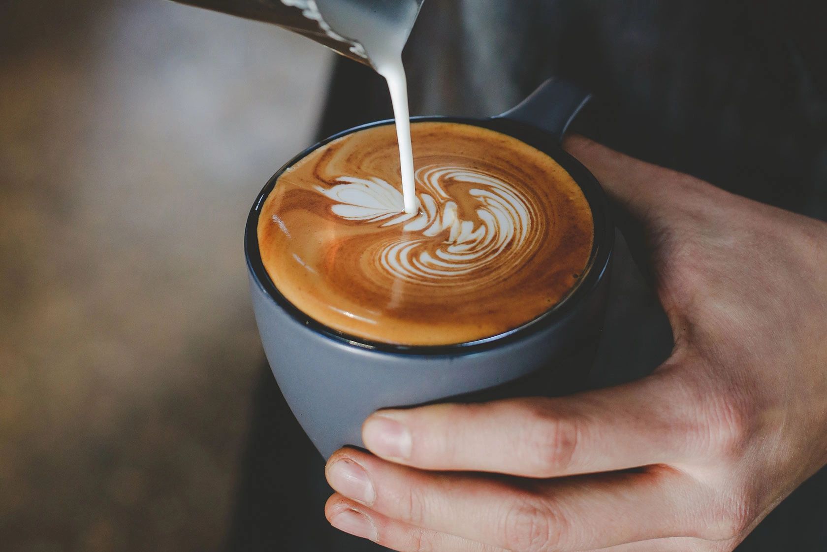 Incredible Coffee and Delicious Breakfast at Green Olive Cafe