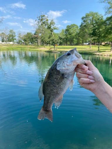 Rv Park Near Huntsville Texas