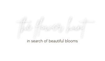 the flower hunt