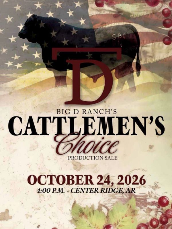 Advertisement for Big D Ranch's Cattlemen's Choice sale in 2026.