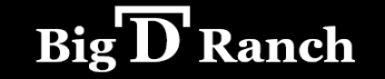 Big D Ranch