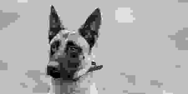 image2877
