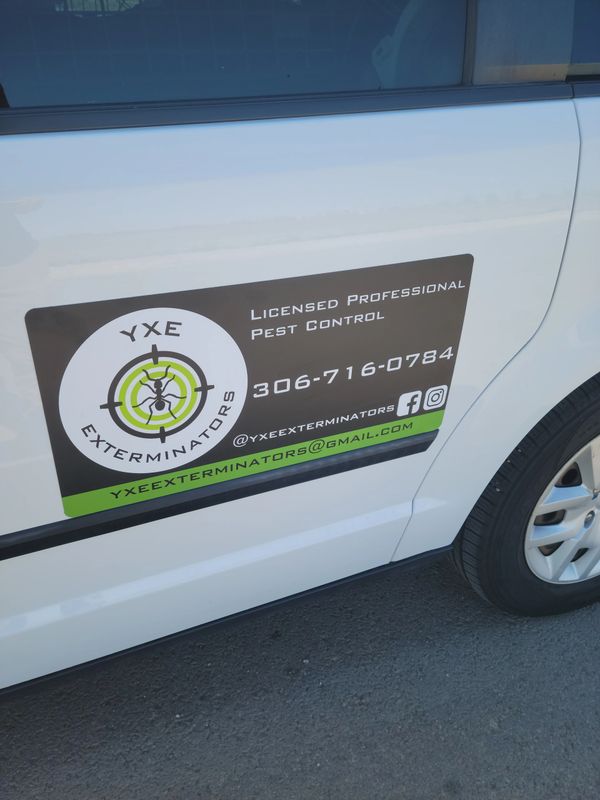 その他 EXTERMINATION yxeexterminators.ca