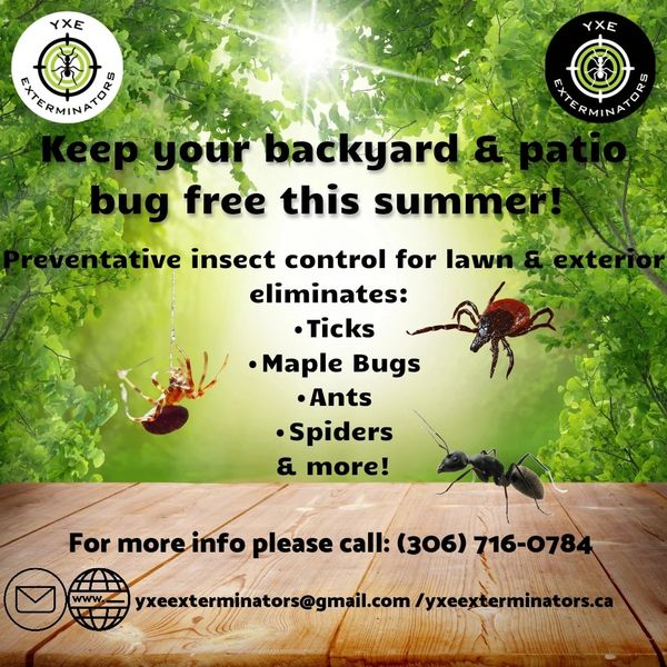 yxeexterminators.ca