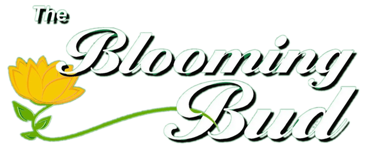 The Blooming Bud 
Flower and Plant and Boutique 