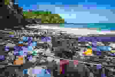 image61