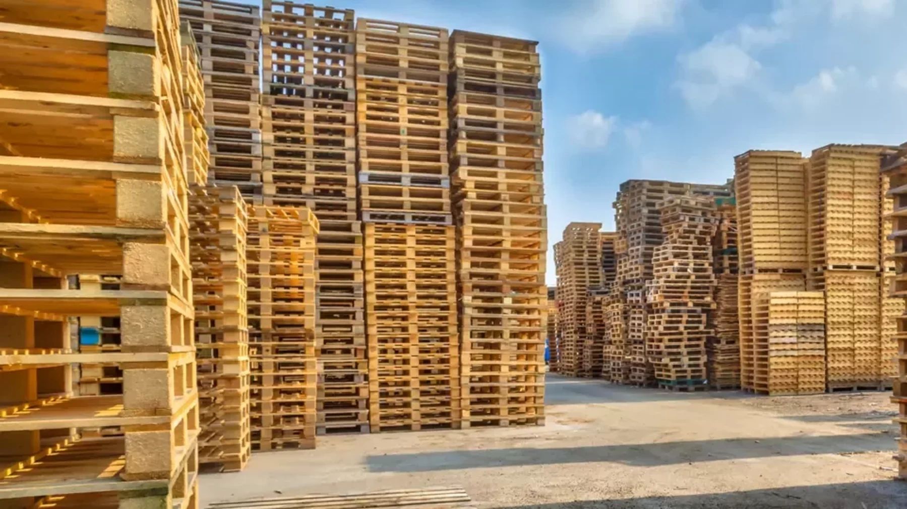 Saudi Pallets
