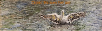 Cedric Williams Fine Art