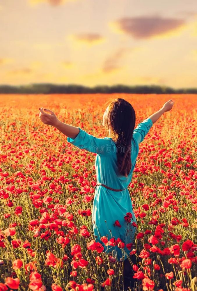 Woman in blue dress enjoying a vast poppy field at sunset.