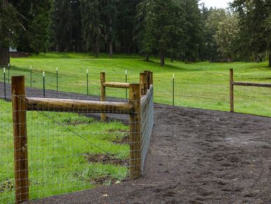 Curved dirt path alongside a wooden fence in a green park.