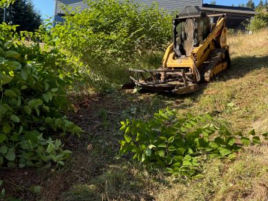 A yellow skid steer clearing bushes on a grassy slope near a house.