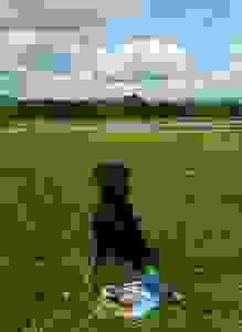 image421
