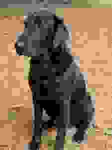 image422
