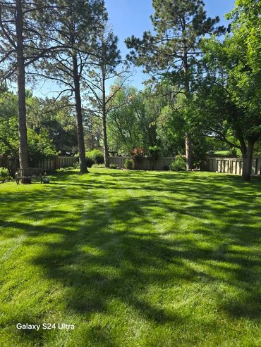 Healthy lawn and garden in Colorado Springs, Colorado.