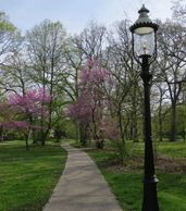 Frederick Law Olmsted, planned community, early suburb, William Le Baron Jenney