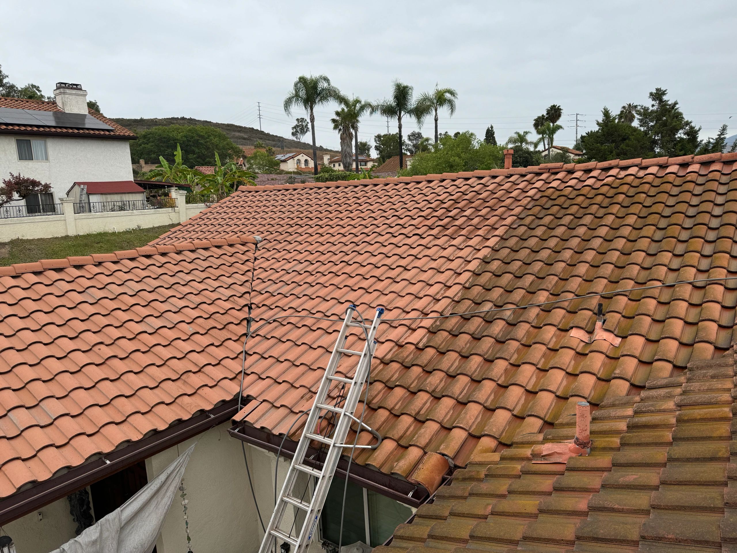 Tile roof mold removal
