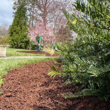 flowerbed service mulching planting plants hedge trimming landscaping maintenance landscaping design