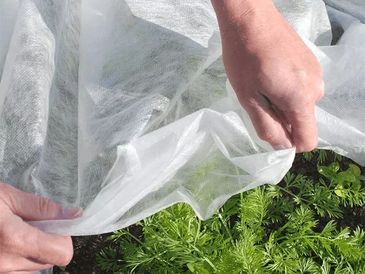 Agriculture Nonwoven Fabric – Protect Crops from Pests, Birds, Frost & UV Damage