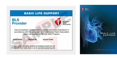 Learn how to provide high-quality cardiopulmonary resuscitation (CPR) for adults, children, and infa