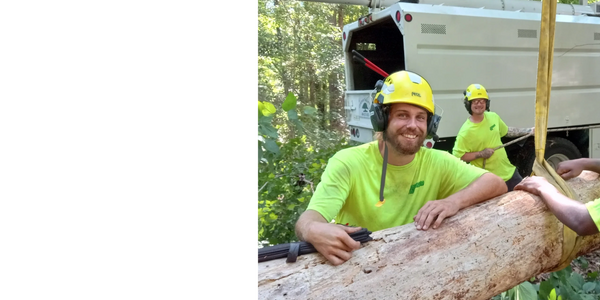 Man loading cut timber onto truck using crane equipment