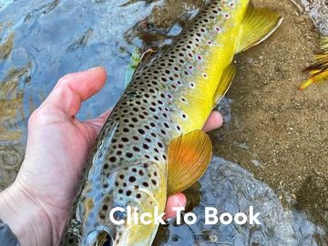 Fly Fishing Guide - Jocassee Outfitters Fly Shop & Fly Fishing Guide