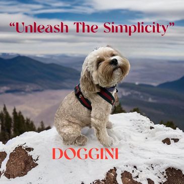 Here you can see the the 