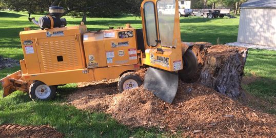 Stump grinding  grinder stump roots Stump removal roots grinding roots removal stump stump hauling 