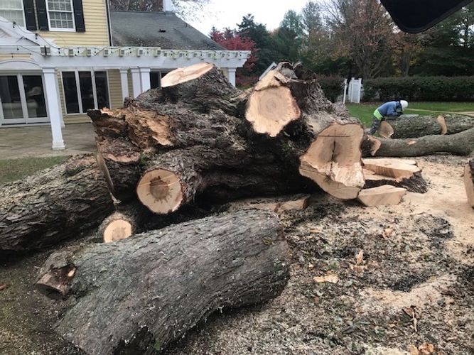 Top Quality Tree Service LLC