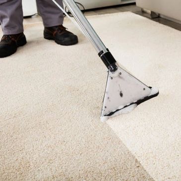 https://img1.wsimg.com/isteam/ip/f2c9303b-1dfa-47d3-affd-7d6efa0b3ec1/carpet%20cleaning.jpg/:/rs=w:365,h:365,cg:true,m/cr=w:365,h:365