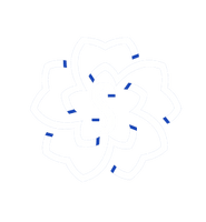  STYLES 
EST. 2018
NY | LA | LV